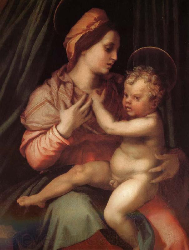 Andrea del Sarto The Virgin and Child